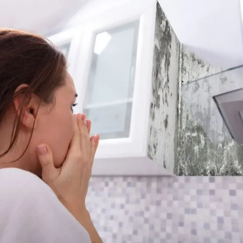 Îngrijorări pentru Sănătate: De Ce Expunerea la Mucegai Necesită Atenție Imediată
